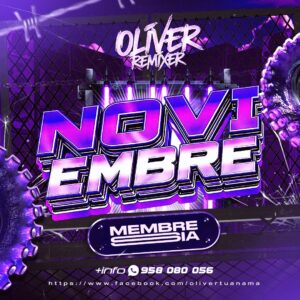 ACTUALIZACIÓN NOVIEMBRE 2025 (COMPLETO) +24Gb